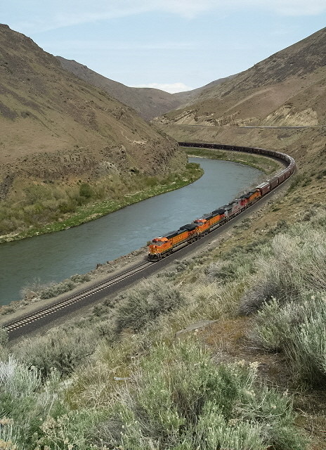 Photo of Empty BNSF grain train Yakima River Gorge