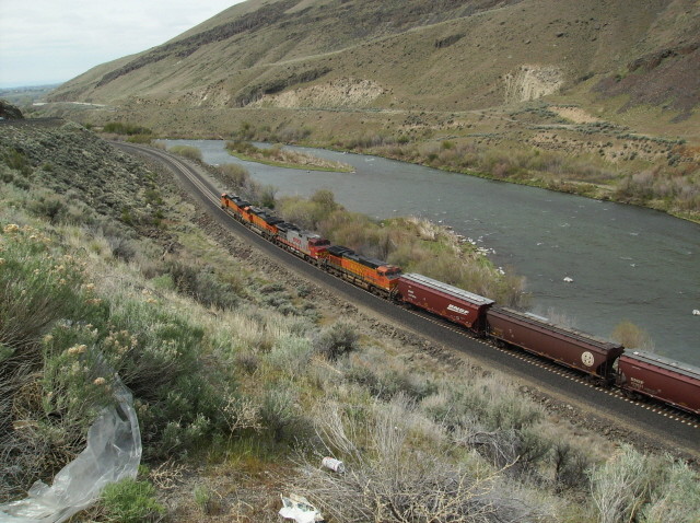 Photo of BNSF empty grain train Yakima River Gorge