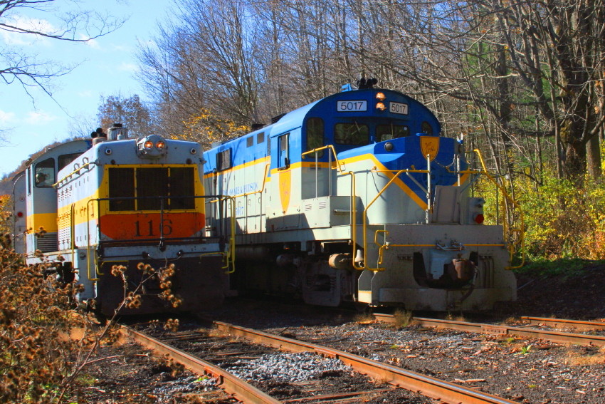 Photo of The 5019 and 116 meet on the D&U
