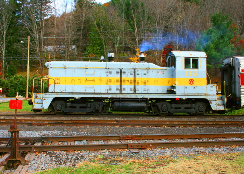 Photo of O&W 116 at Arkville