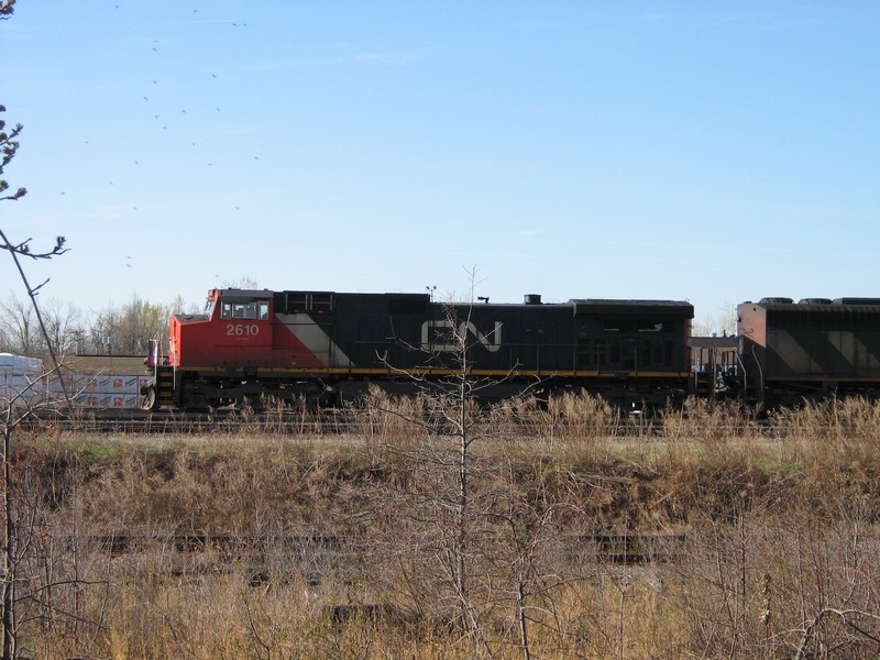 Photo of Sitting in the Fort Erie yard