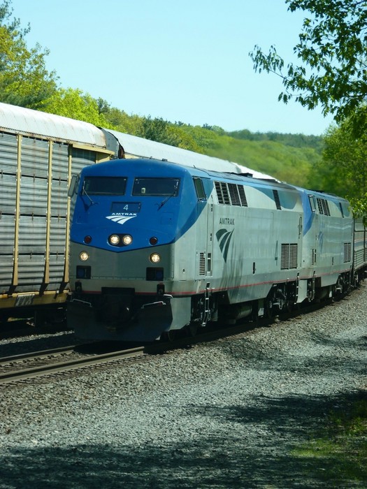 Photo of 449 at CP64, S Spencer, Ma