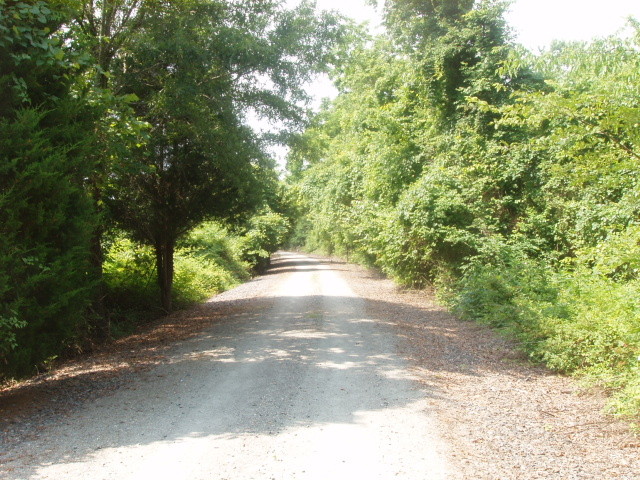 Photo of Rail Trail and Battlefield