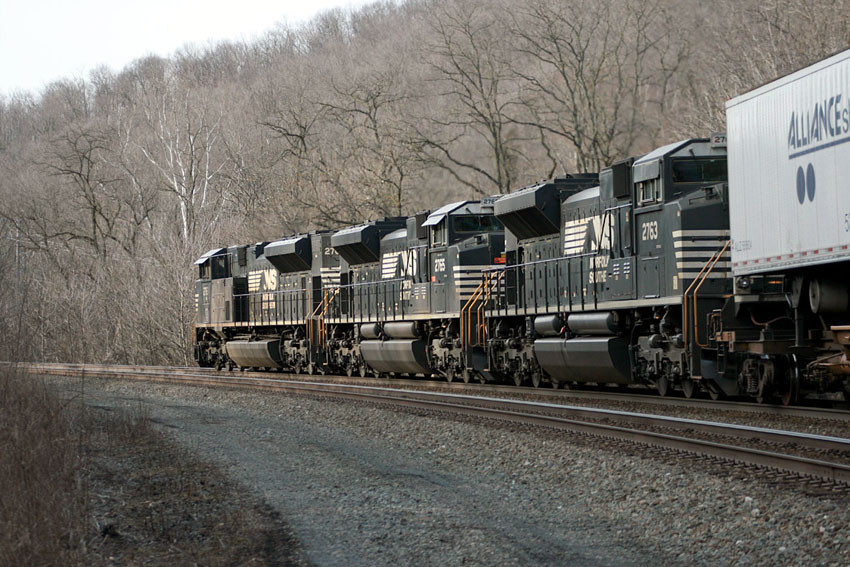 Photo of NS 3-Pack Spruce Creek PA