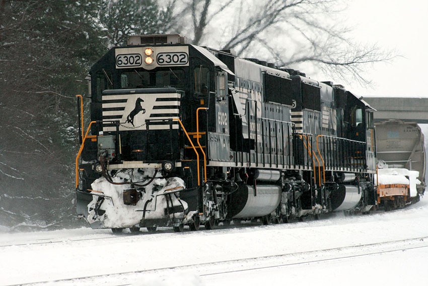 Photo of NS 6302 Lilly PA