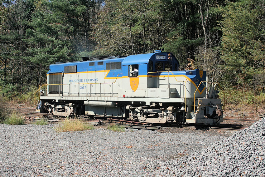 Photo of Delaware & Ulster RS-36 #5017