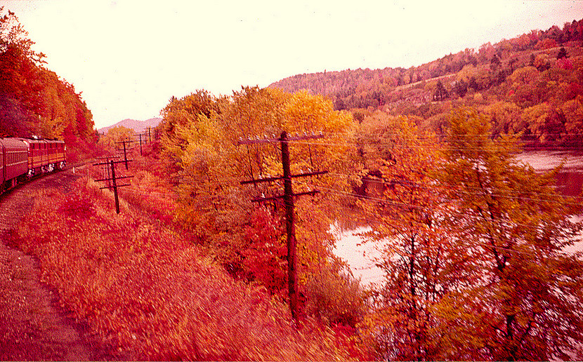 Photo of B&M TRAIN BLENDS INTO THE FALL FOLIAGE