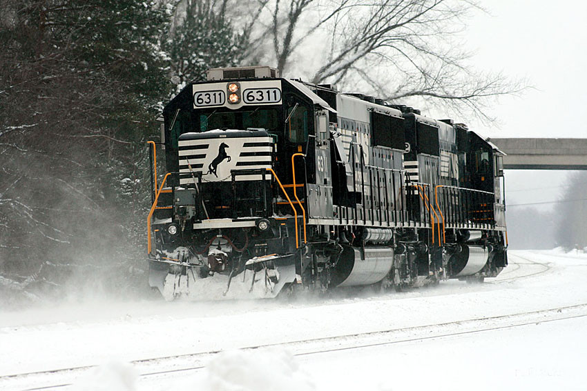 Photo of NS 6311 Lilly PA