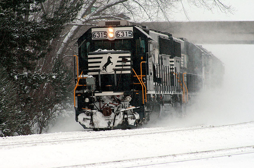 Photo of NS 6315 Lilly PA