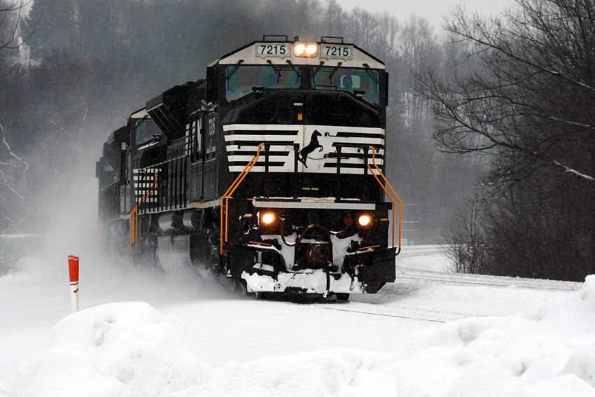 Photo of NS 7215 Lilly PA