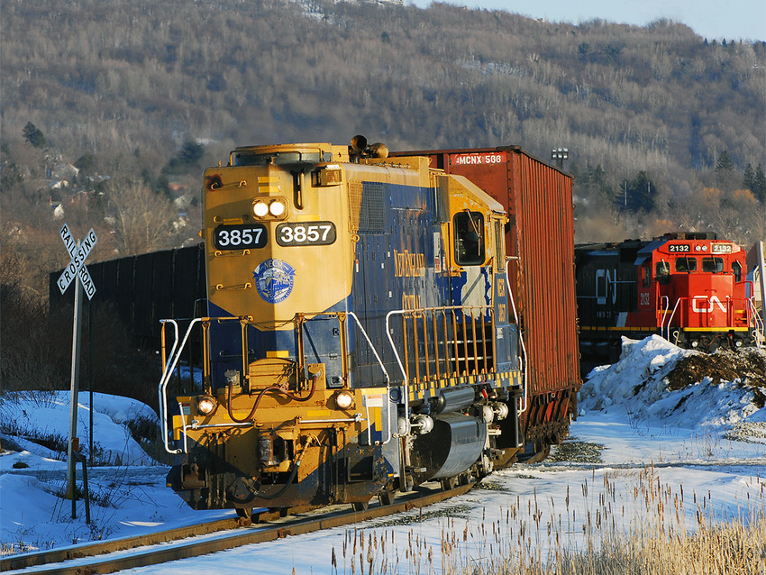 Photo of NECR 500 rolls past CN 323 at St. Albans Italy Yard