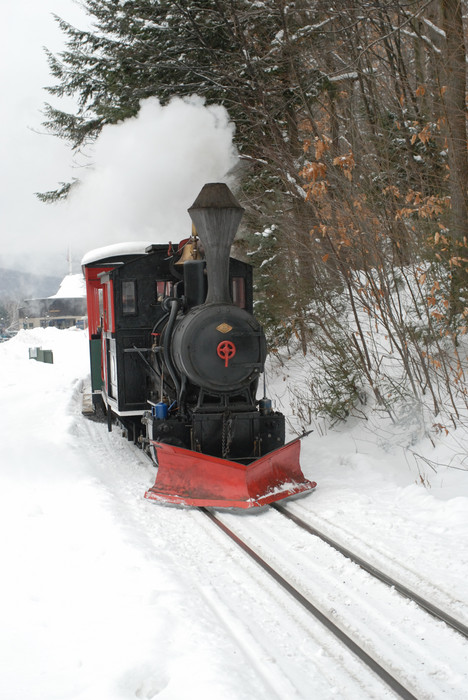 Photo of Loon Mountain Railroad steam on the mainline.