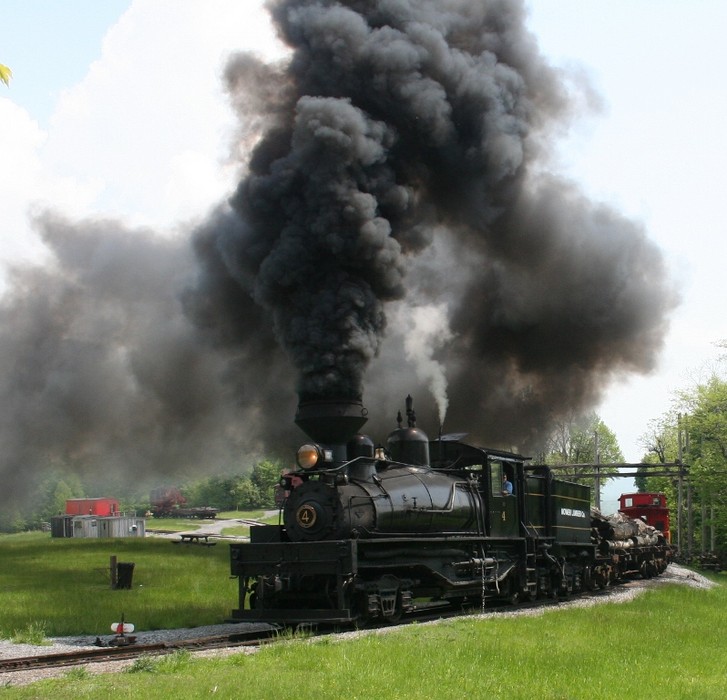 Photo of Log train on the mountain