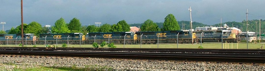 Photo of CSX Transportation loco line up