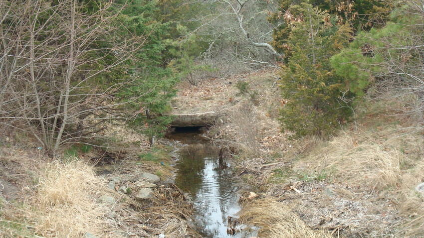 Photo of Old NH Culvert