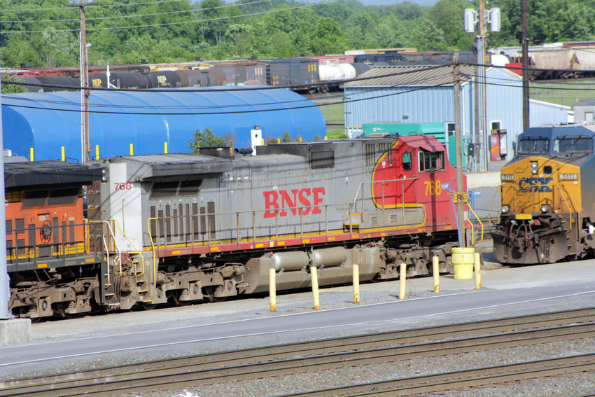 Photo of Warbonnet at Selkirk