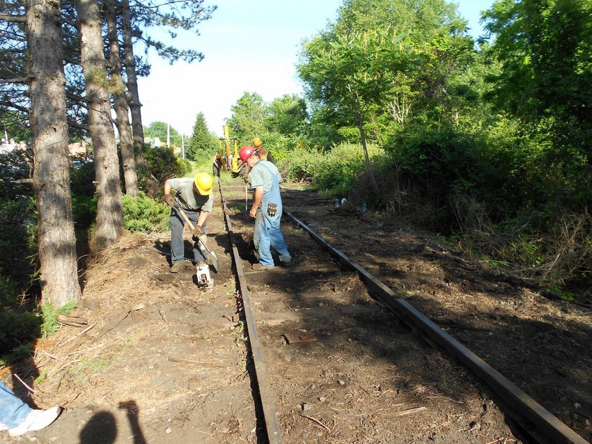 Photo of CMRR Track Crew Replacing ties in Kingston