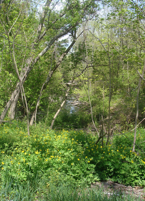 Photo of Along the Route of the Southern New England