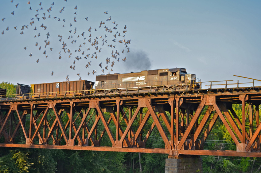 Photo of Rail Train on Conn River Line