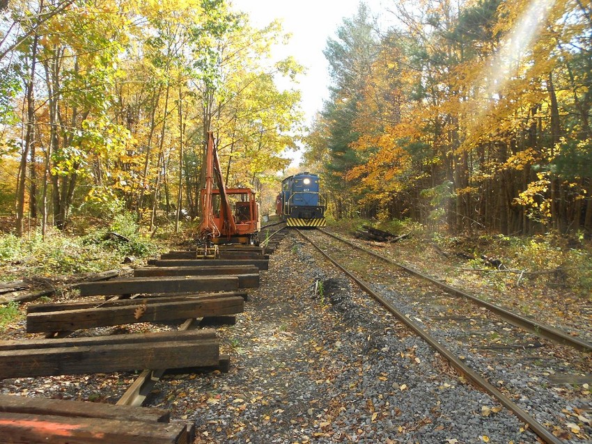 Photo of CMRR Fall Foliage Train at Longyear Siding