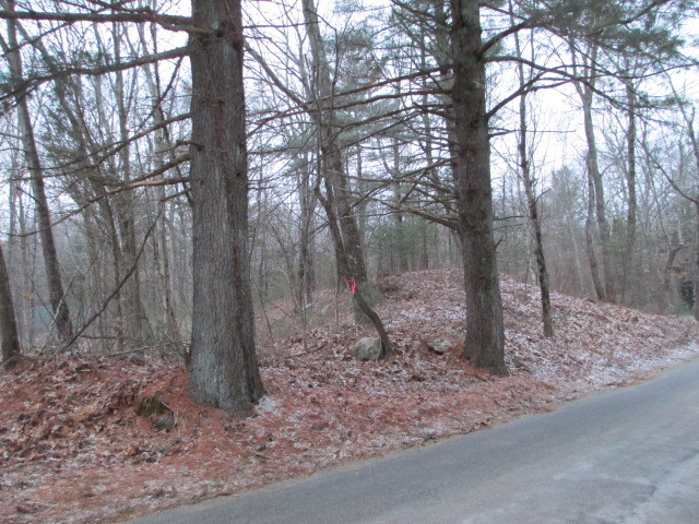 Photo of On the Trail of the SNE
