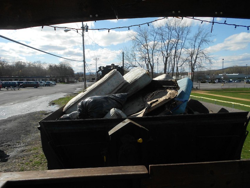 Photo of Trash Collected in Kingston