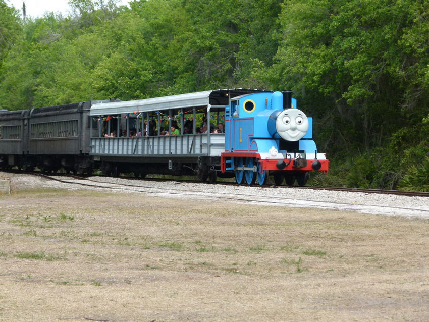 Photo of Along comes Thomas...