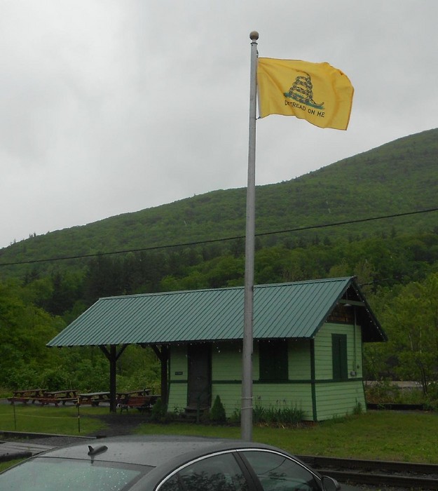 Photo of Gadsden Flag Flies High on the CMRR