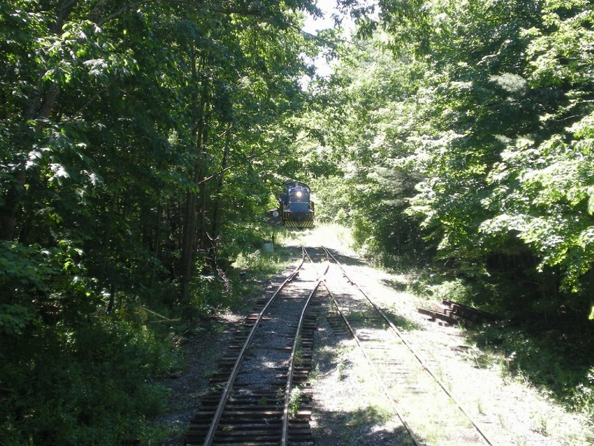 Photo of CMRR Scenic Train Approaching Longyear Siding MP 24.75