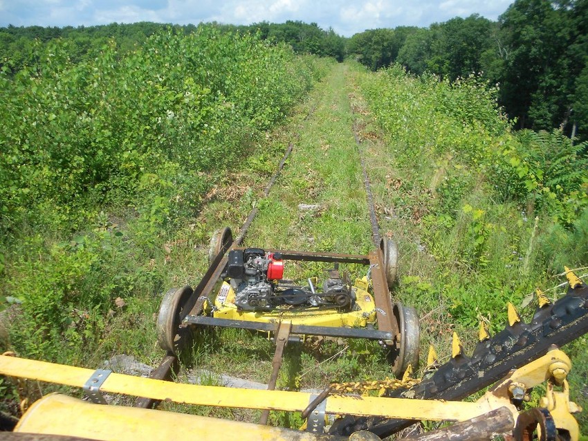 Photo of Mowing the Glenford Dike