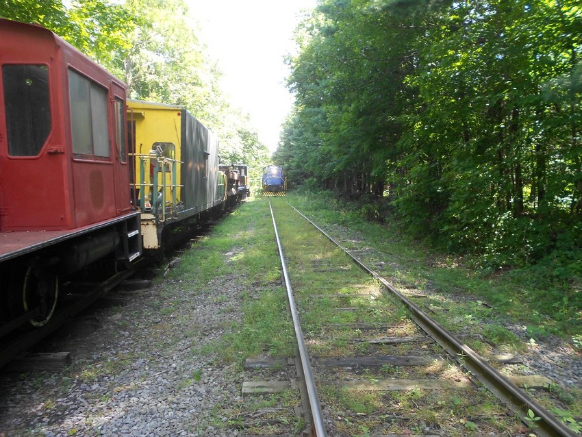 Photo of CMRR Scenic Train at Longyear's Siding