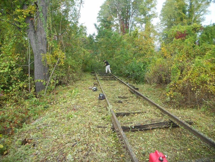 Photo of Clearing Vegetation at MP 5.51