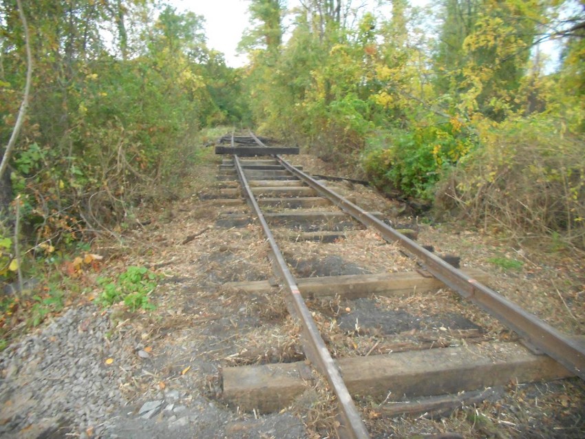 Photo of View of Reconstructed Track west of MP 5.5