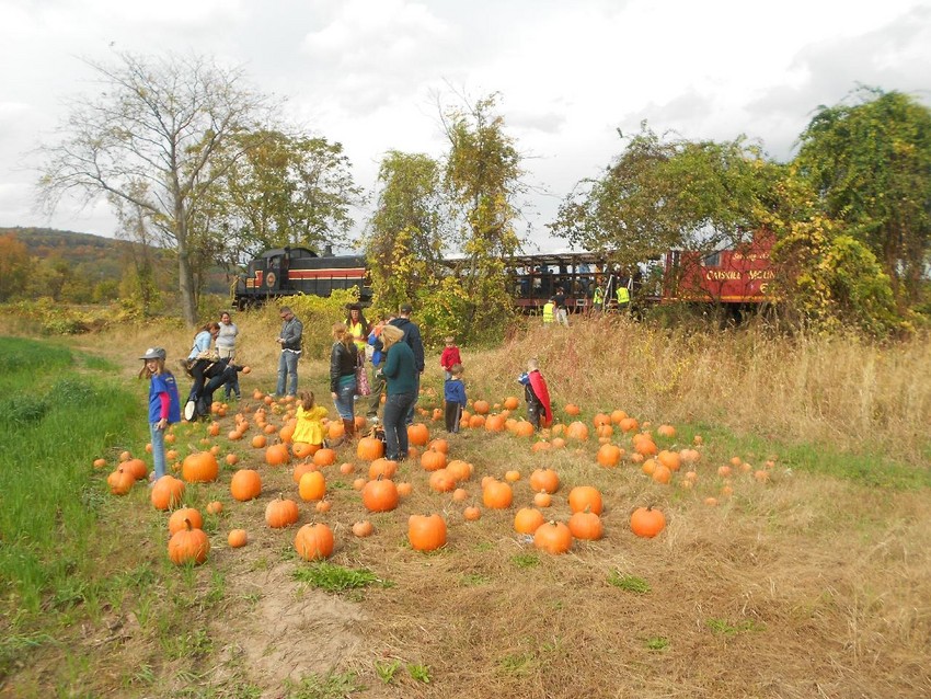 Photo of CMRR Halloween/Pumpking Patch Train