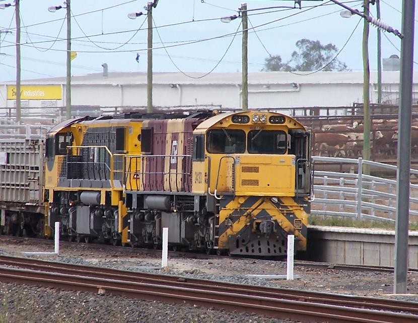 Photo of Aurizon 2413/2487 Ready to leave as th bulls are unloaded.