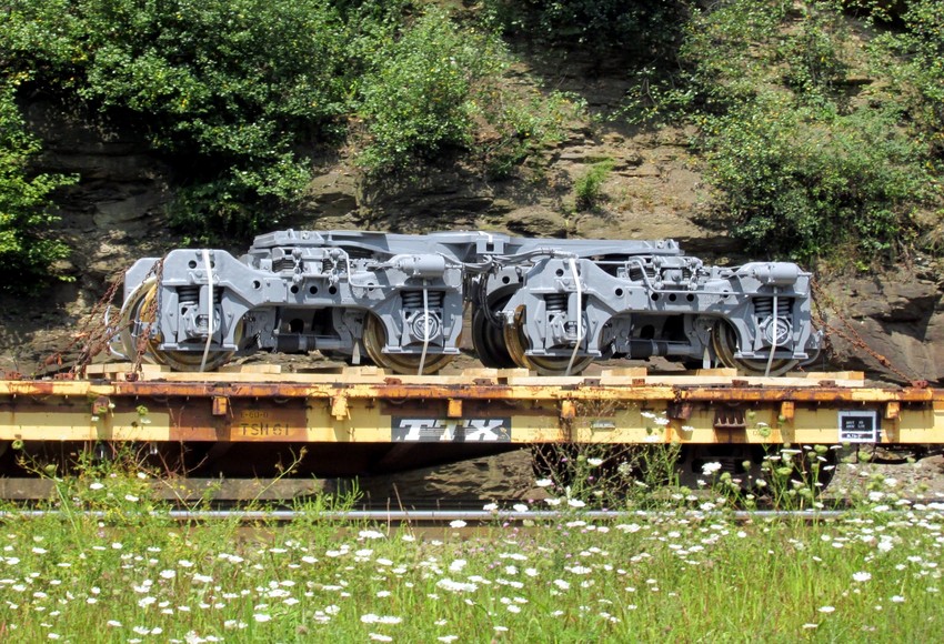 Photo of GE BB export trucks for BB40-9WM at Horseshoe Curve