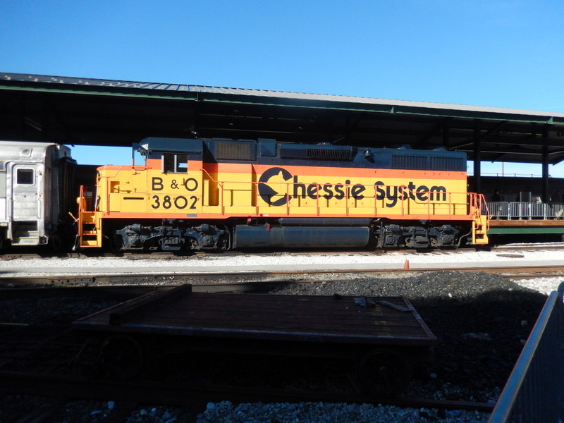 Photo of Chessie at the B&O Museum