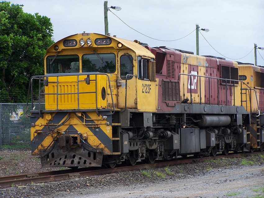 Photo of QR 2123/2481 Seen Here `With 22 Wagons Of Export Beef.