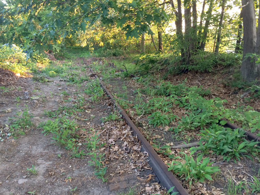 Photo of Not Much Rail Left on the Stoneham Branch