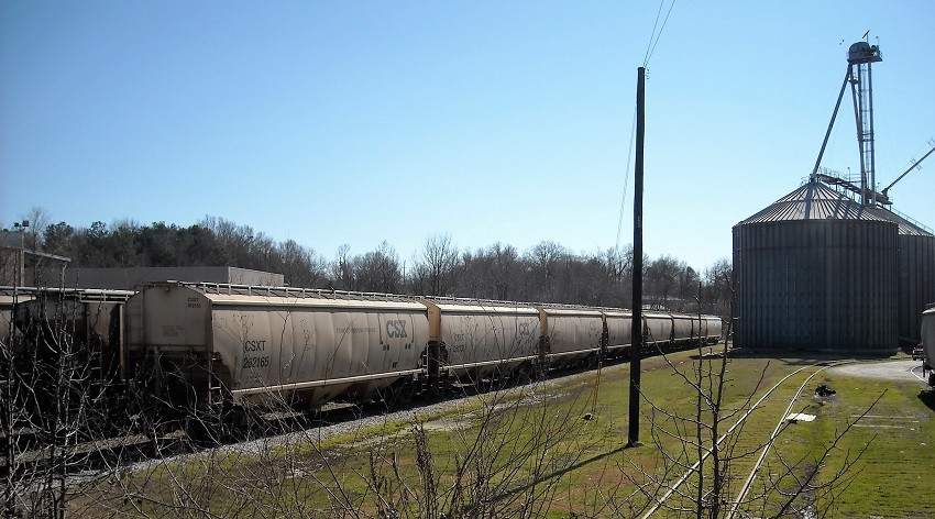 Photo of CSX covered hoppers sit awaiting discharge of their load