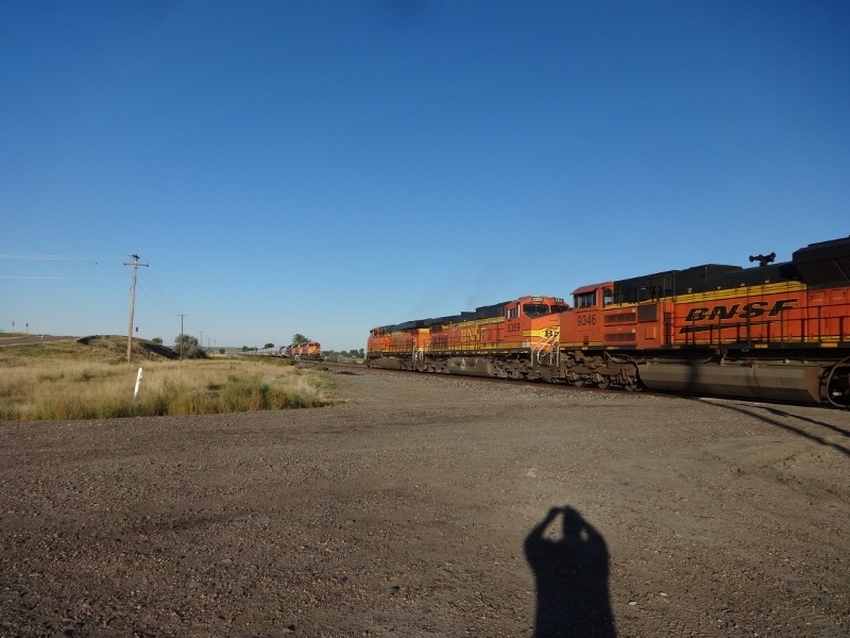 Photo of Westbound BNSF Grain Train at Hathaway, Montana