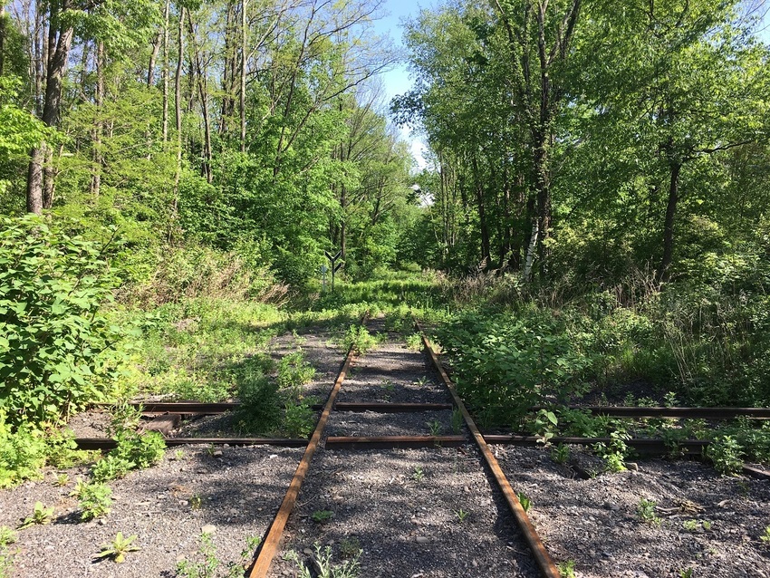 Photo of Rails Rust in the Catskills