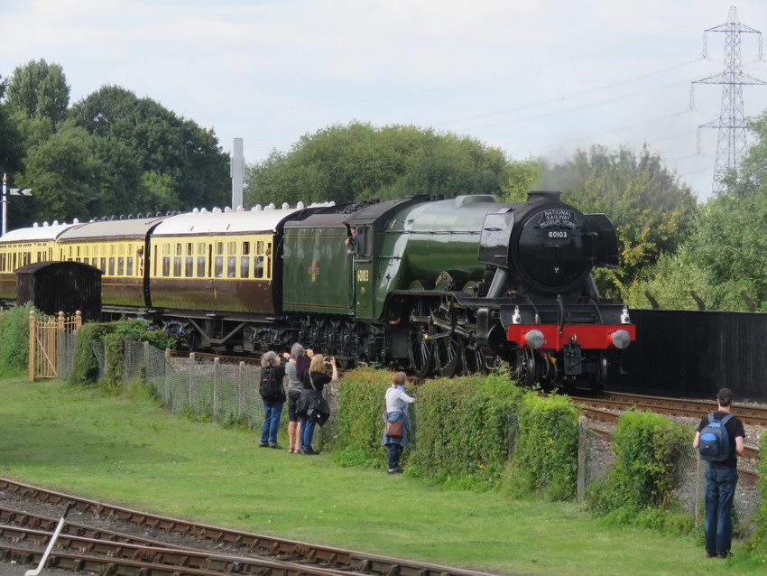 Photo of Flying Scotsman at Didcot