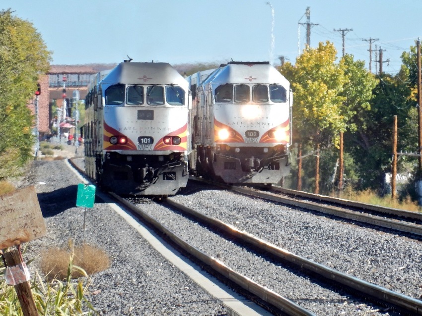 Photo of Rail Runner pair