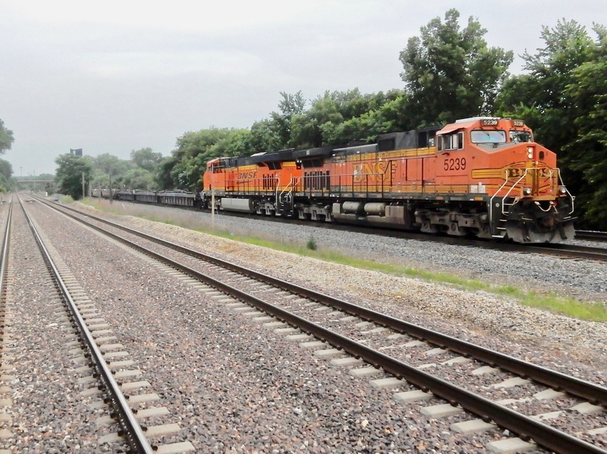 Photo of Passing BNSF freight
