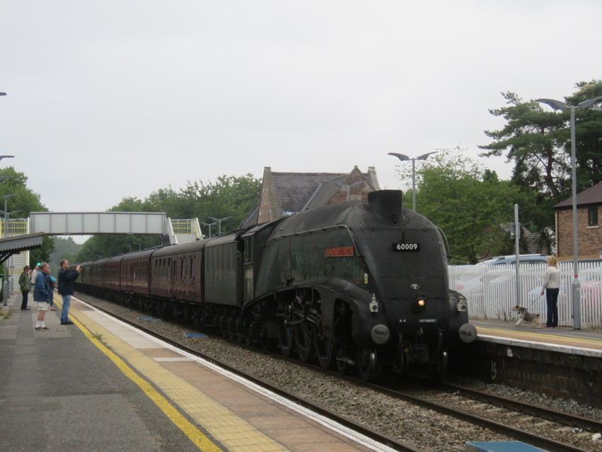 Photo of Union of South Africa at Pewsey