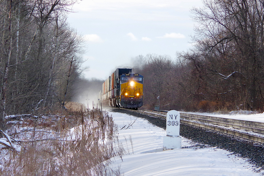 Photo of CSX #3299 Eastbound at Brutus, New York