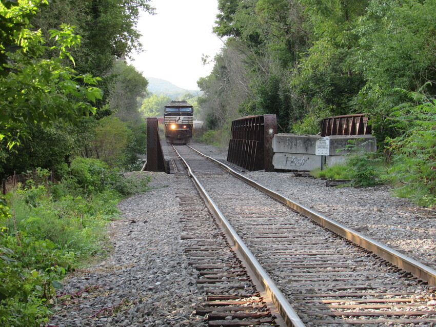 Photo of NS 6914 leads