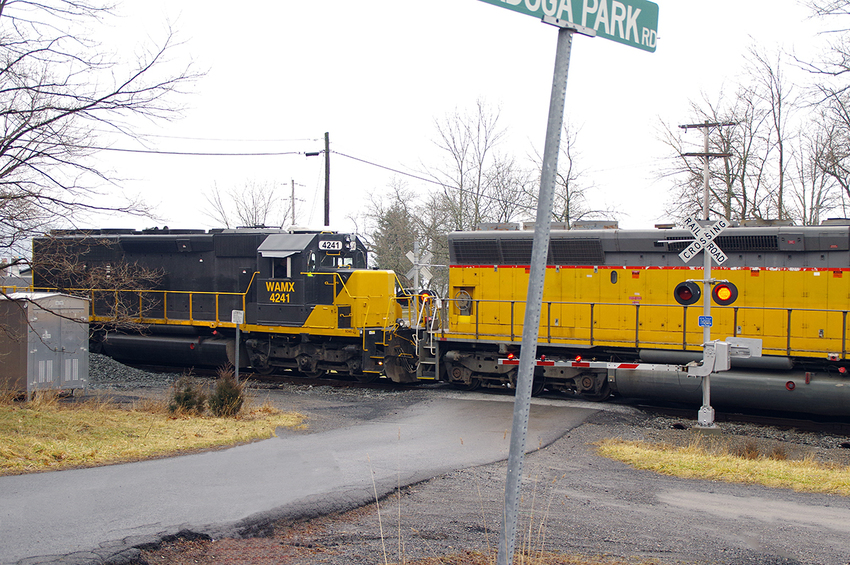 Photo of Ithaca Central 4241 and 4247 in Lansing, New York