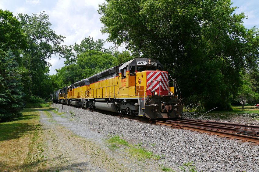 Photo of Ithaca Central #4248